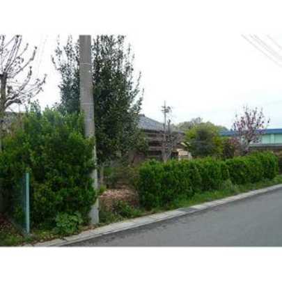 Local land photo. Appearance 1