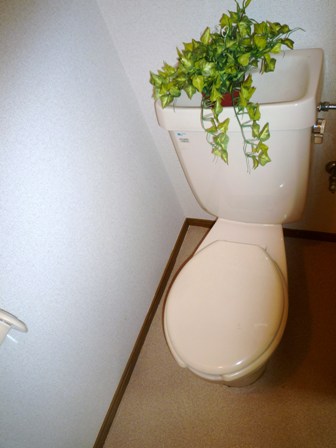 Toilet