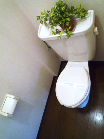 Toilet