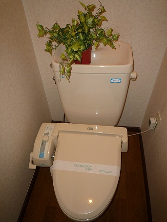 Toilet. Washlet toilet