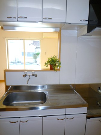 Kitchen. Face-to-face kitchen