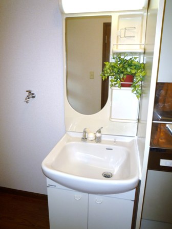 Other. There washbasin