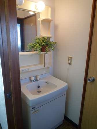 Washroom. There washbasin