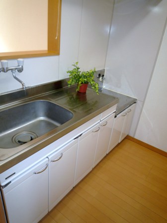 Kitchen. Face-to-face kitchen