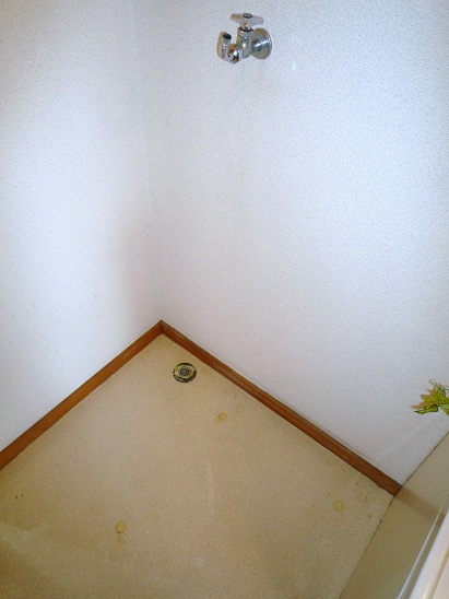 Other. Indoor Laundry Storage