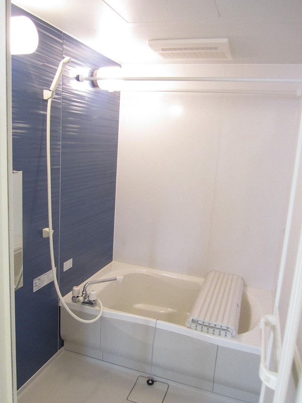 Bath. Large tub and spacious