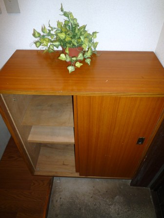 Entrance. There shoebox