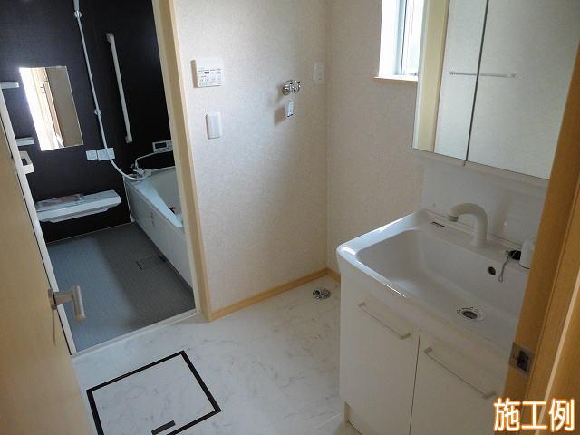 Same specifications photos (Other introspection)