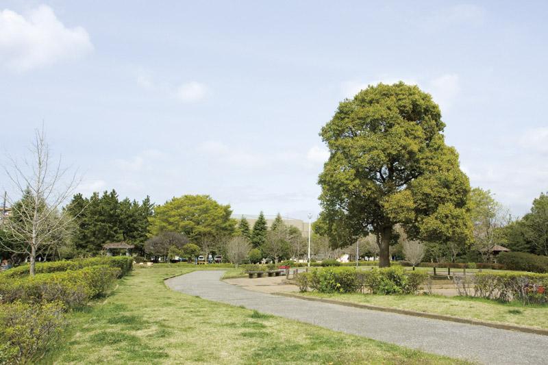 park. Large 850m green often to Waseda park ・ Dotted with small park is within walking distance. Flat or go out for a walk, It is nice to be able to feel free, such as reading under the sunshine filtering through foliage. 