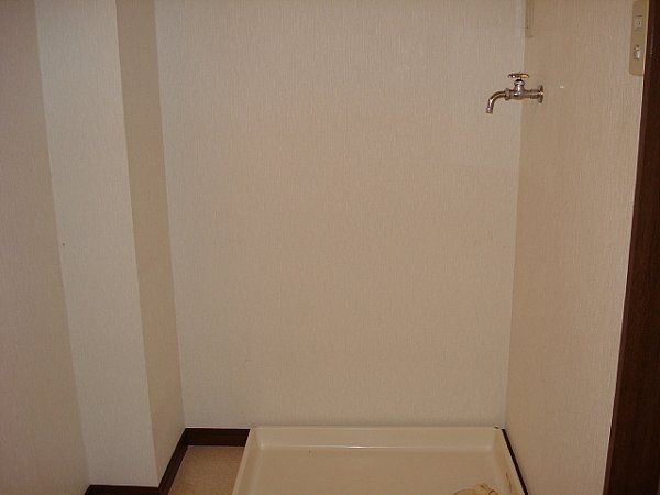 Washroom. Washing machine in the room