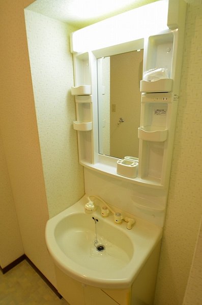 Washroom. Shampoo dresser