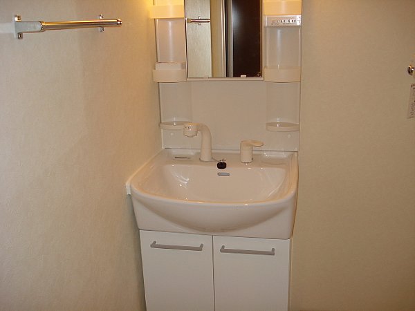 Washroom. Shampoo dresser