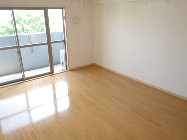 Living and room. A bright room.