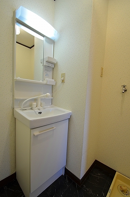 Washroom. Shampoo dresser