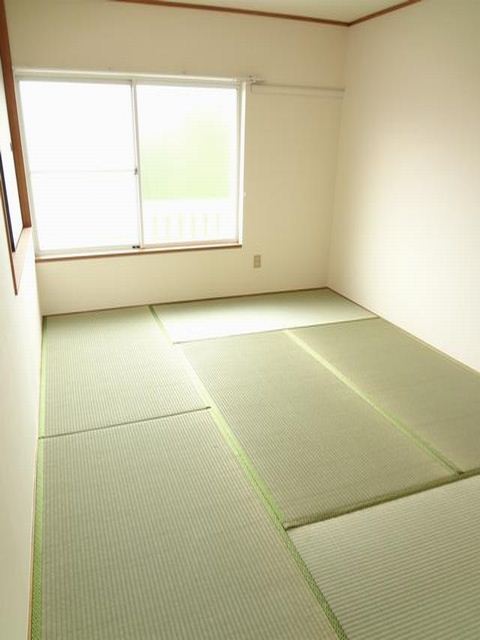 Living and room. Perfect for the room to the bedroom. There is also a closet