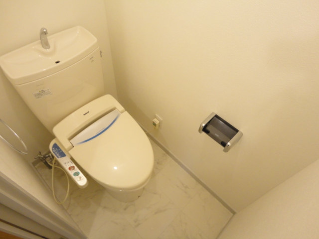 Toilet. Washlet with function