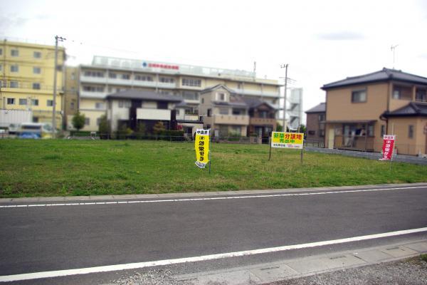 Local photos, including front road