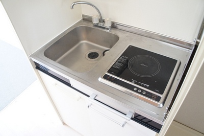 Kitchen. Compact coherent kitchen