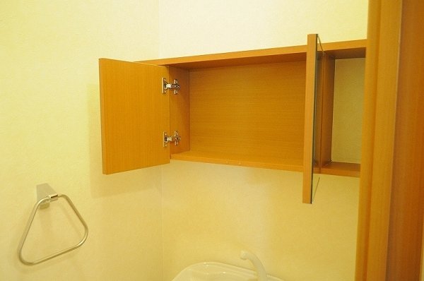 Toilet. Toilet storage