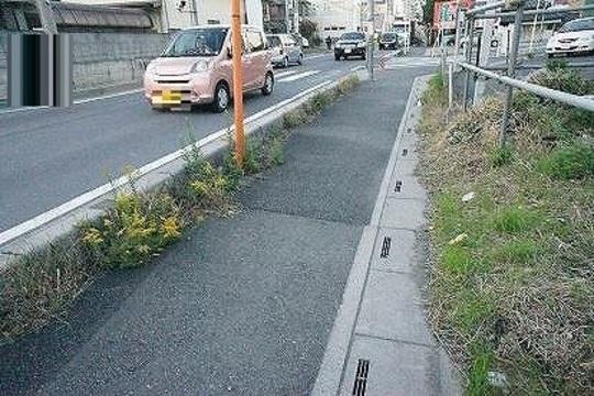 Local photos, including front road. Frontal road