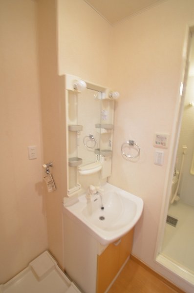 Washroom. Shampoo dresser