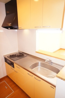 Kitchen. Popular counter kitchen system two-burner kitchen with grill