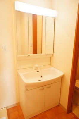 Washroom. Glad shampoo dresser in a busy morning ☆