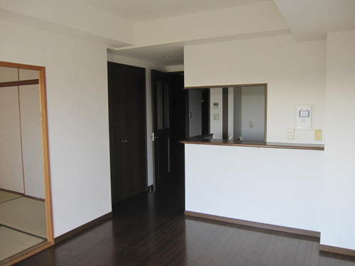 Living and room. LDK (interior ago)