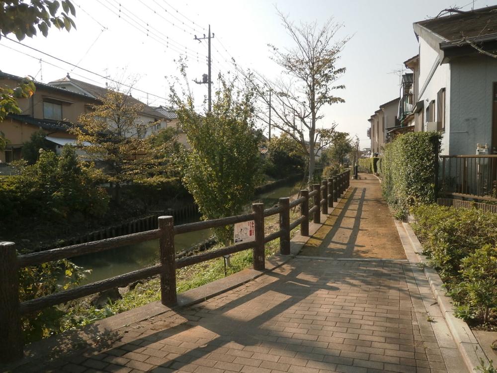 Other. Neighborhood landscape