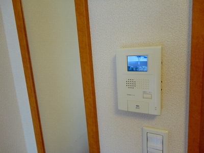 Security. Monitor phone