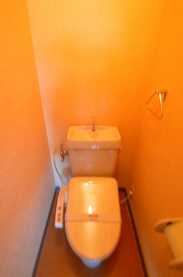 Toilet. Bidet