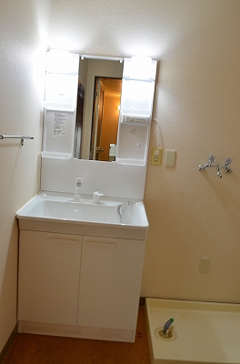 Washroom. Shampoo dresser