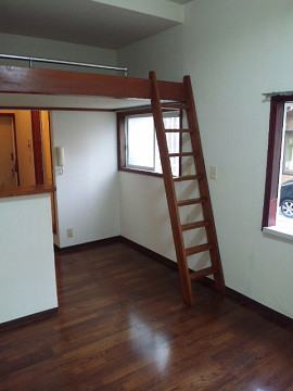 Living and room. With loft