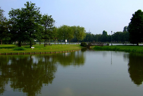 Supermarket. 110m until Misato park (super)