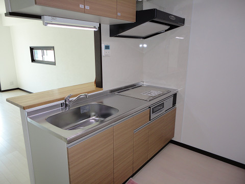 Kitchen. IH cooking heater