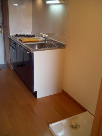 Kitchen. Gas stove equipped