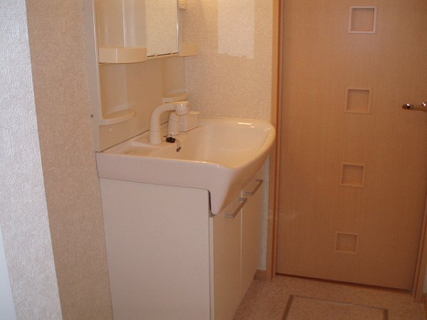 Washroom. Shampoo dresser