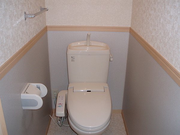 Toilet. Bidet