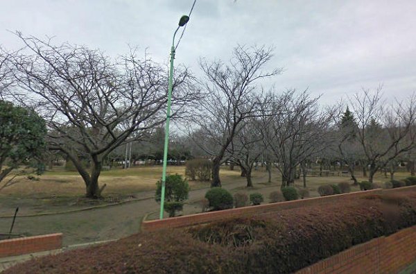 park. 280m until Waseda park (park)