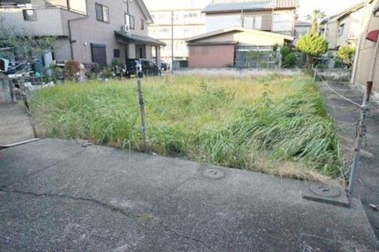 Local land photo. Local Photos