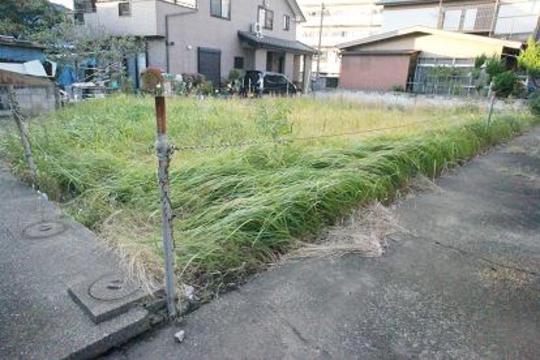 Local land photo. Local Photos