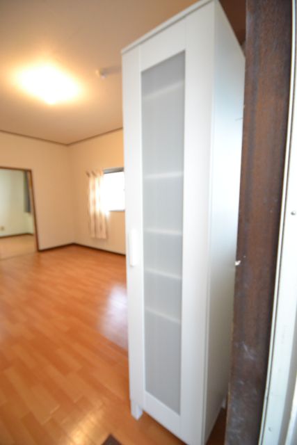 Entrance. Shoe box (leaving)