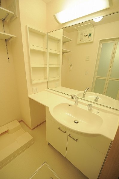 Washroom. Shampoo dresser