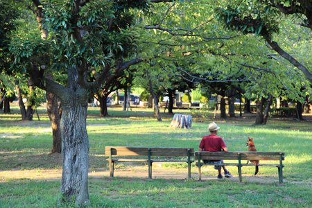 park. 500m to Waseda park (park)