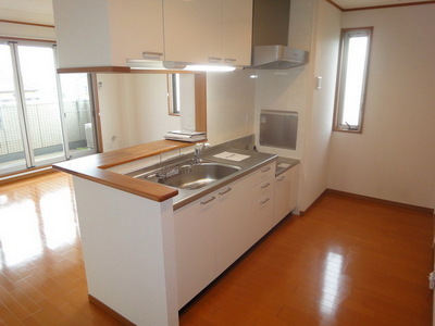 Kitchen. Counter Kitchen Two-burner stove installation Allowed