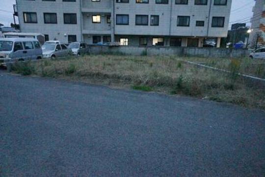 Local land photo. Local Photos