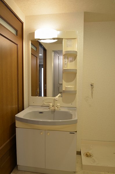 Washroom. Shampoo dresser