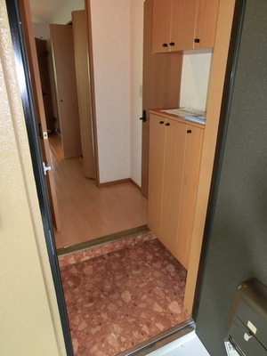 Entrance. Shoes "box equipped