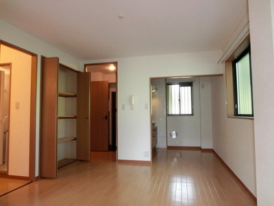 Living and room. DK light is plugged