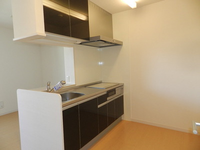 Kitchen. IH kitchen (equivalent image. It is different from the real thing)